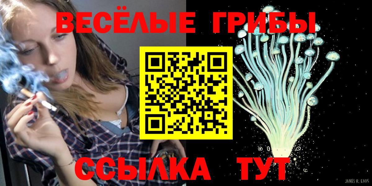 Псилоцибиновые грибы Psilocybine cubensis  Вход с VPN  Петропавловск-Камчатский 